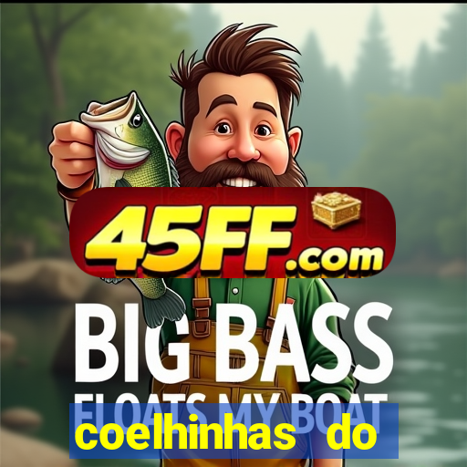coelhinhas do brasil recife